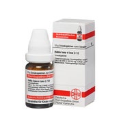 Produktabbildung: Hekla lava e lava C 12 Globuli 10 g