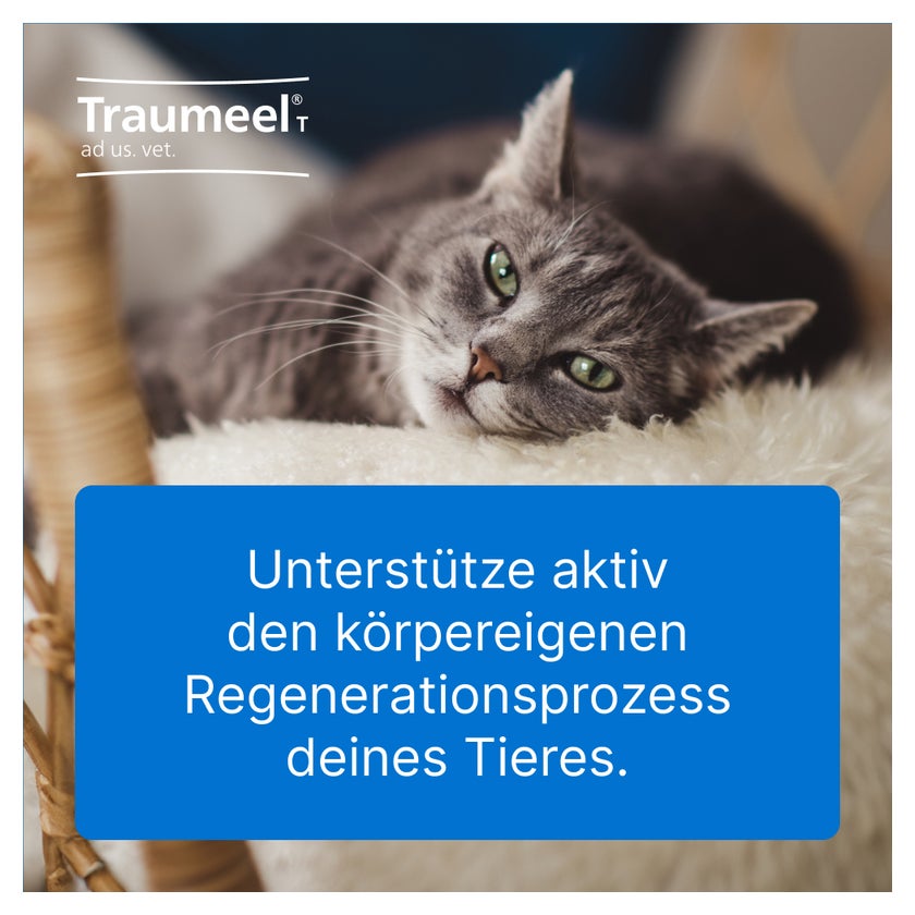 Traumeel T ad us.vet. Tierarznei 100 St