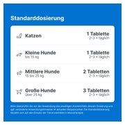Traumeel T ad us.vet. Tierarznei 100 St