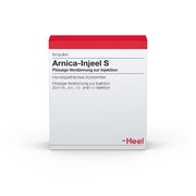Produktabbildung: Arnica Injeel S Ampullen 10 St