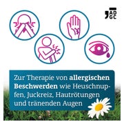 LORA ADGC Allergietabletten 100 St