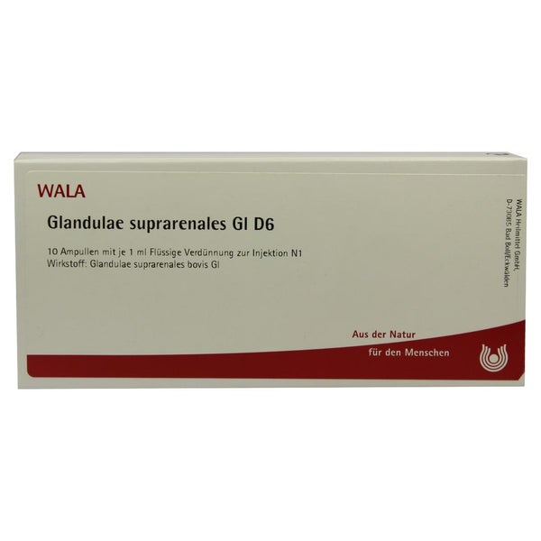 Glandulae Suprarenales GL D 6 Ampullen 10X1 ml