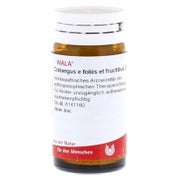 Produktabbildung: Crataegus E Foliis et fructibus D 6 Glob 20 g
