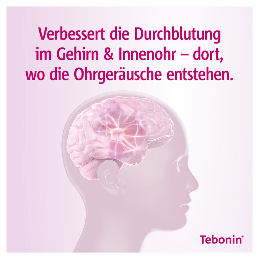 Tebonin intens 120 mg 120 St