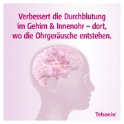 Tebonin intens 120 mg 120 St
