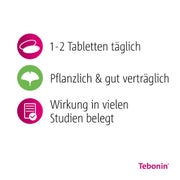 Tebonin intens 120 mg 120 St