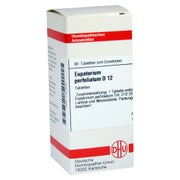 Eupatorium Perfoliatum D 12 Tabletten 80 St