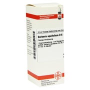 Produktabbildung: Berberis Aquifolium D 6 Dilution 20 ml
