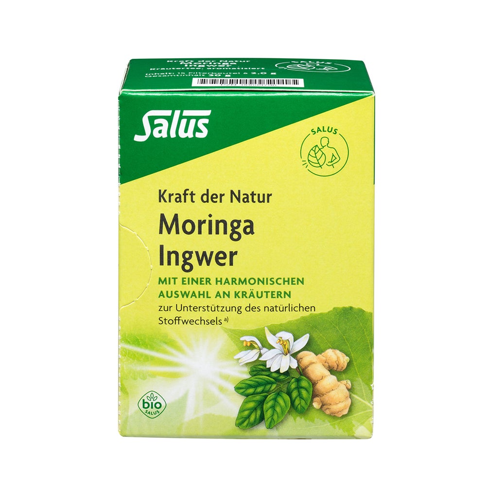 Moringa Ingwer Kräutertee Kraft der Natu 15 St
