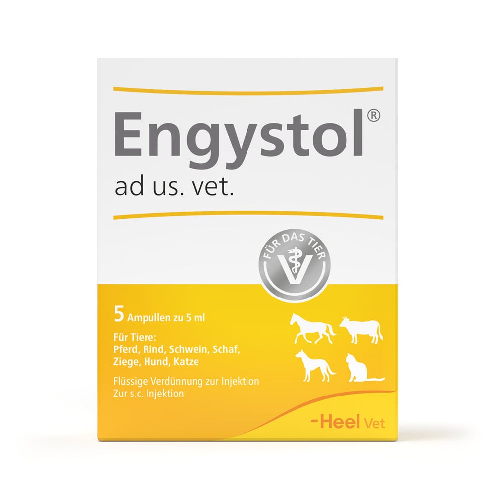 Engystol ad Us.vet.ampullen 5 St