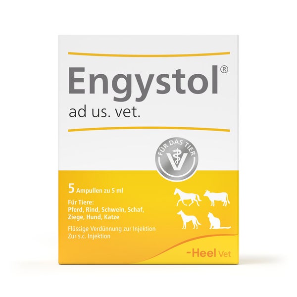 Engystol ad Us.vet.ampullen 5 St