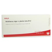 Produktabbildung: Helleborus Niger e planta tota D 12 Ampu 10X1 ml