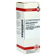 Produktabbildung: Bellis Perennis D 6 Dilution 20 ml