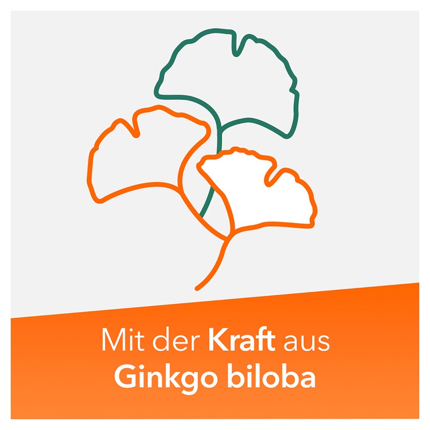 Ginkobil ratiopharm 120mg mit Ginkgo biloba 120 St