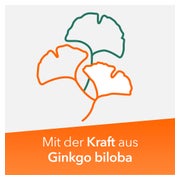 Ginkobil ratiopharm 120mg mit Ginkgo biloba 120 St