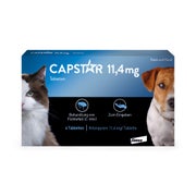 Produktabbildung: Capstar für kleine Hunde und Katzen bis 11 kg 6 St