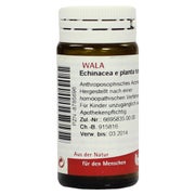 Echinacea E Planta tota D 3 Globuli 20 g