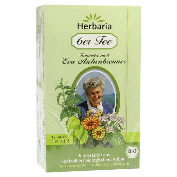6ER Tee nach Eva Aschenbrenner Filterbeu 15 St