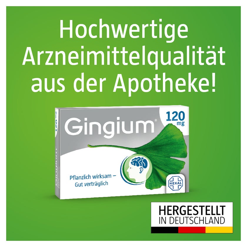 Gingium 120 mg 120 St