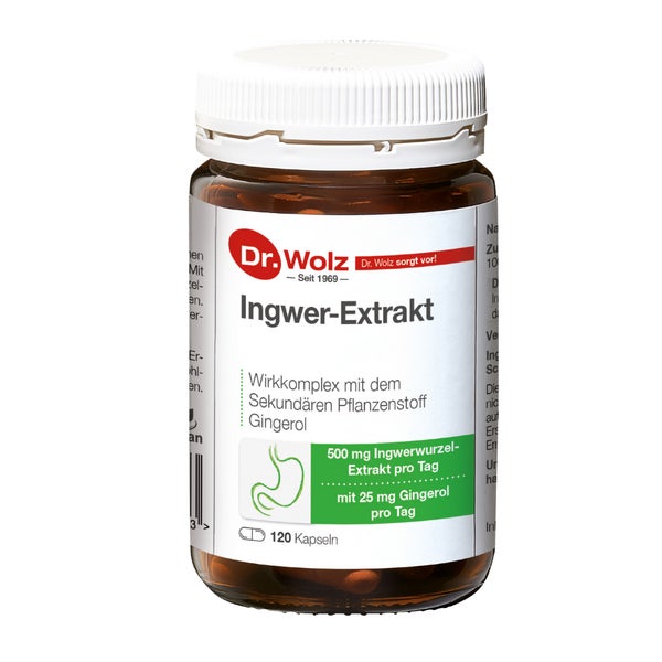 Ingwer Extrakt Dr.wolz Kapseln 120 St
