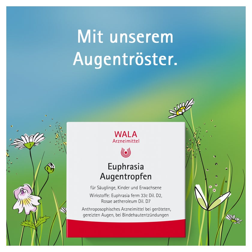 WALA Euphrasia Augentropfen 30X0,5 ml