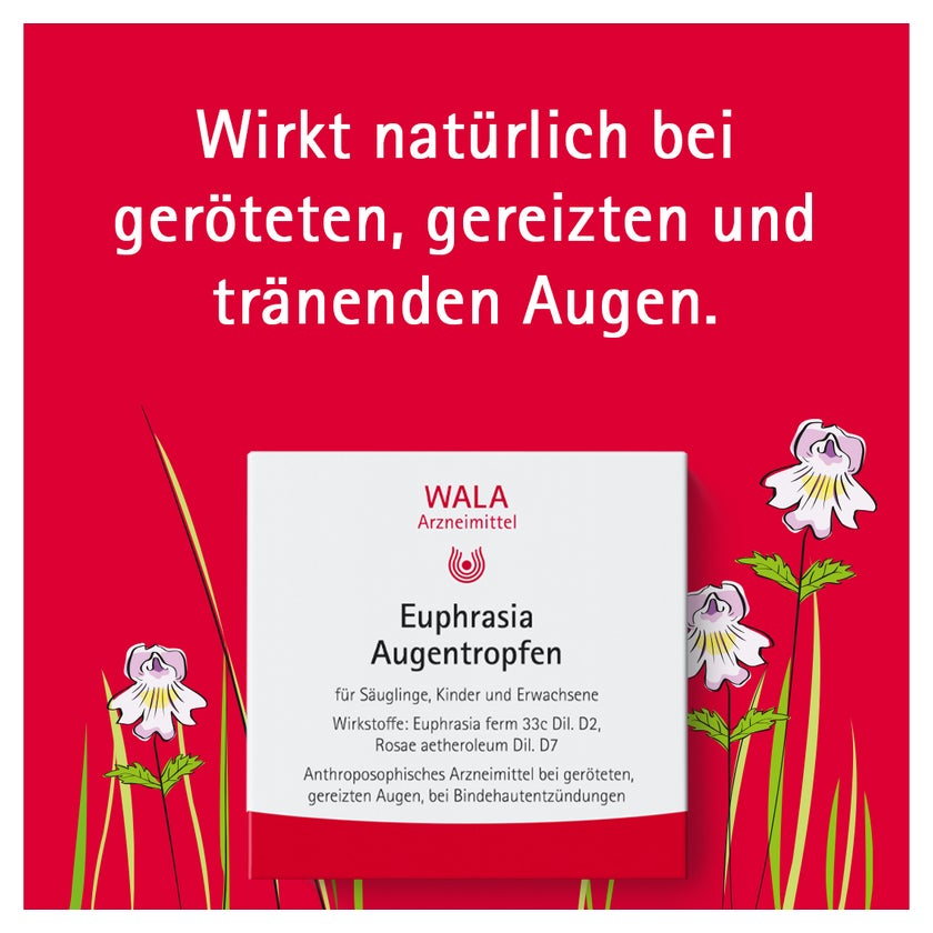 WALA Euphrasia Augentropfen 30X0,5 ml