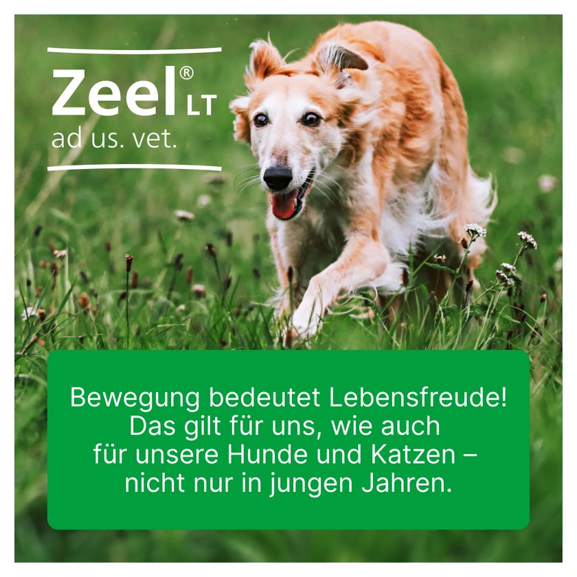 ZEEL LT ad us.vet.Tabletten 100 St