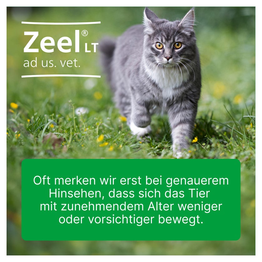 ZEEL LT ad us.vet.Tabletten 100 St