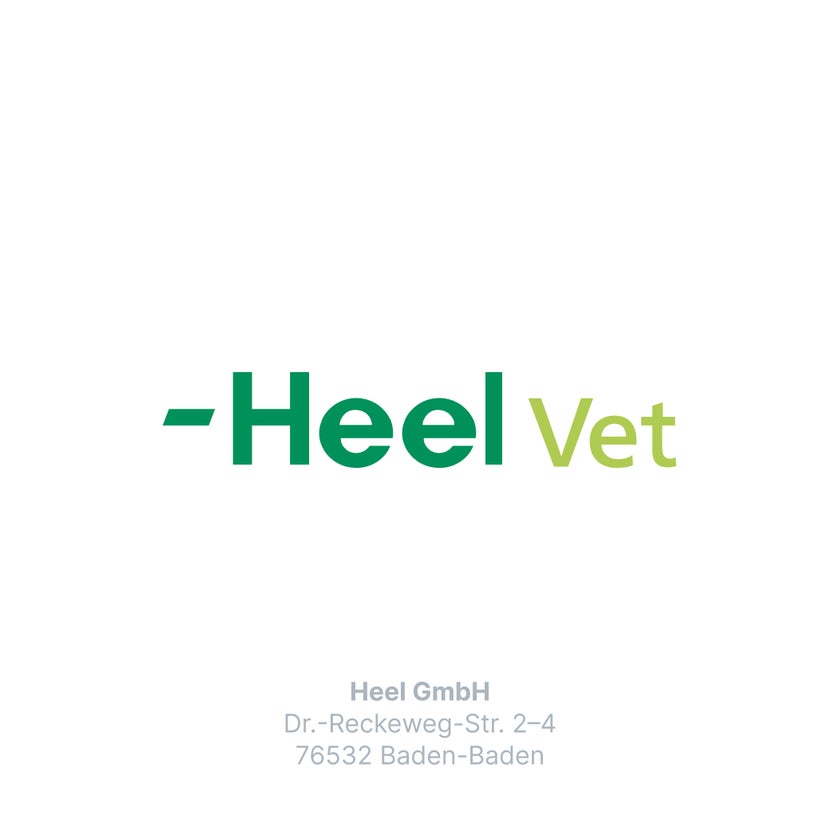 ZEEL LT ad us.vet.Tabletten 100 St