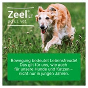 ZEEL LT ad us.vet.Tabletten 100 St