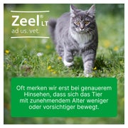ZEEL LT ad us.vet.Tabletten 100 St