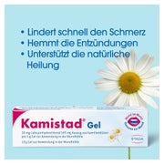 Kamistad Gel 20 g