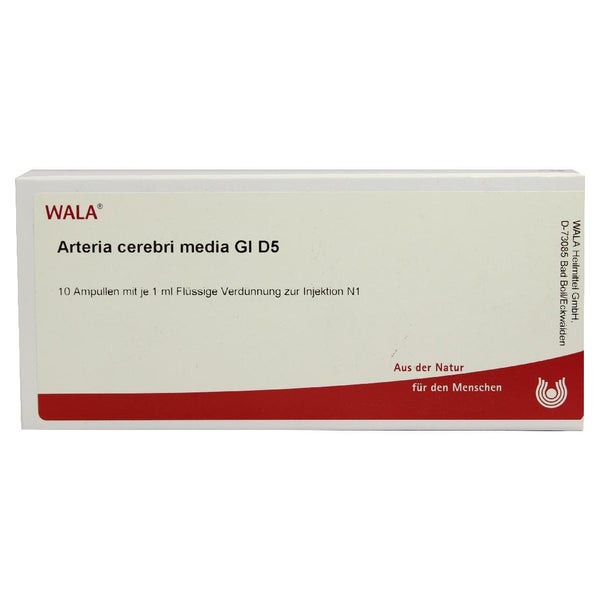 Arteria Cerebri Media GL D 5 Ampullen 10X1 ml