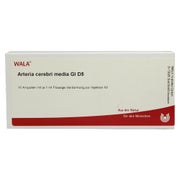 Produktabbildung: Arteria Cerebri Media GL D 5 Ampullen 10X1 ml