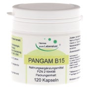 Pangam Vitamin B15 Kapseln 120 St