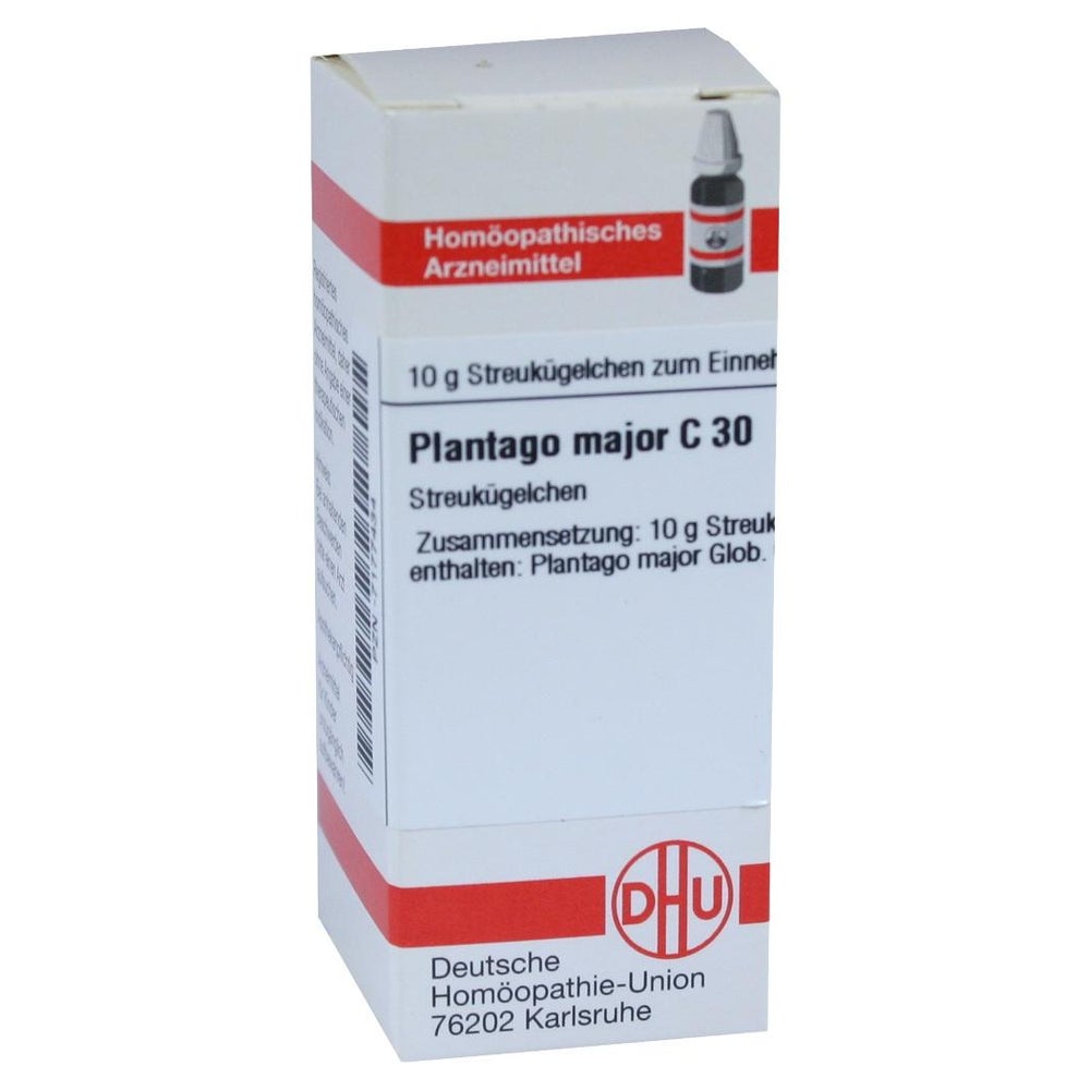 Plantago Major C 30 Globuli 10 g