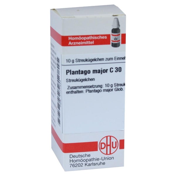 Plantago Major C 30 Globuli 10 g