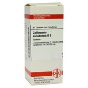 Collinsonia Canadensis D 6 Tabletten 80 St
