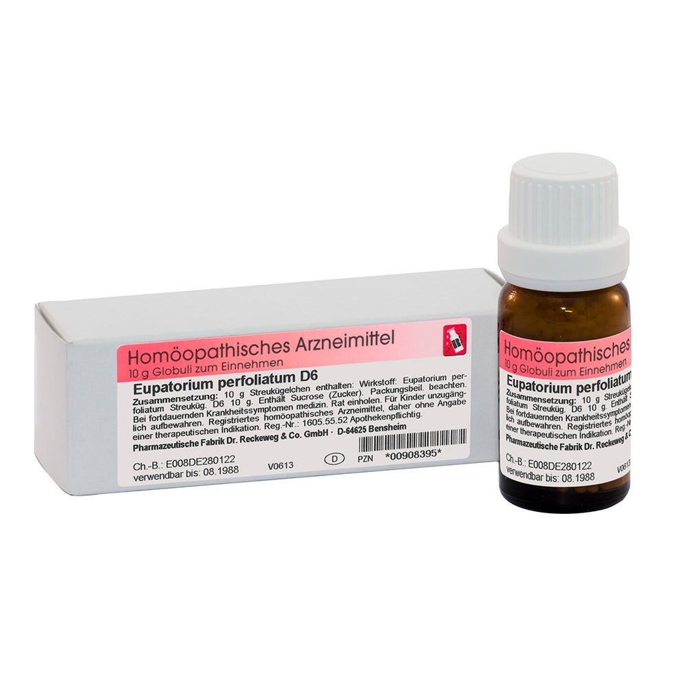Dr. Reckeweg Eupatorium Perfoliatum D6 Globuli 10 g