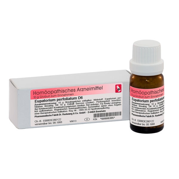 Dr. Reckeweg Eupatorium Perfoliatum D6 Globuli 10 g