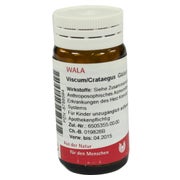 Viscum Crataegus Globuli 20 g
