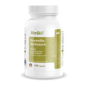 HerbBio Boswellia Weihrauch hochdosiert 450mg 120 St