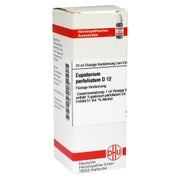 Produktabbildung: Eupatorium Perfoliatum D 12 Dilution 20 ml