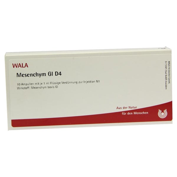 Mesenchym GL D 4 Ampullen 10X1 ml