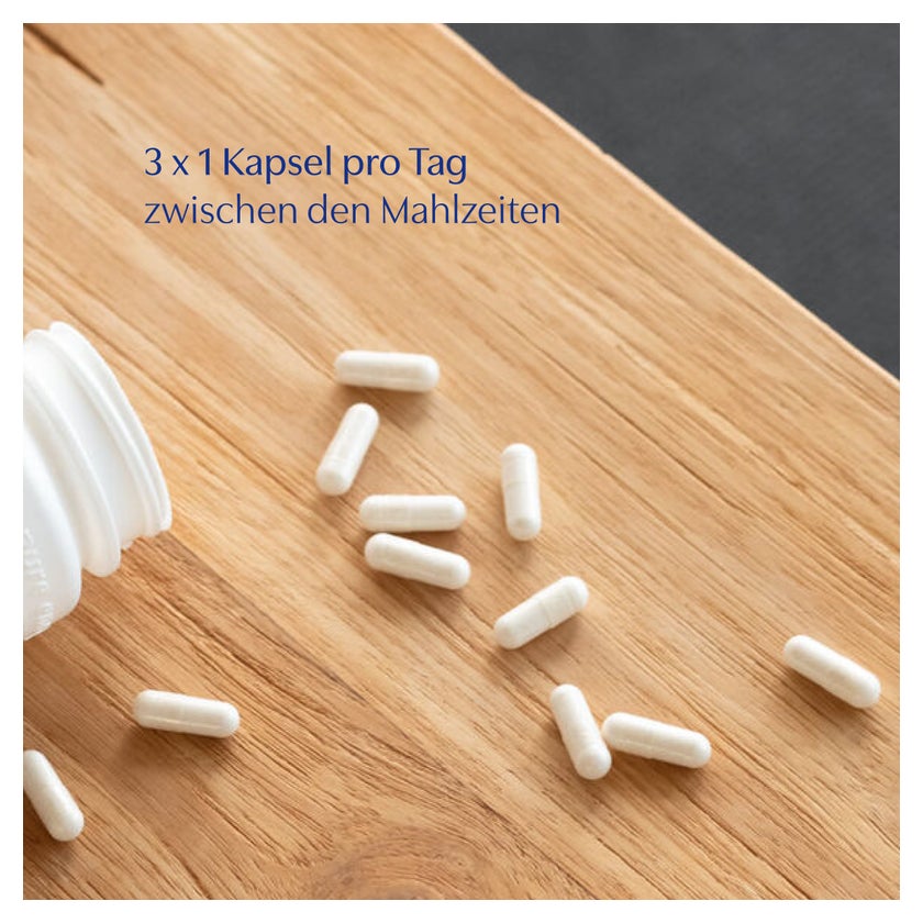 pure encapsulations L-Arginin 90 St