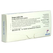 Vespa Crabro D 6 Ampullen 8X1 ml