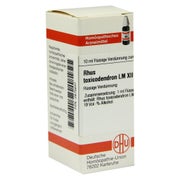 Produktabbildung: RHUS Toxicodendron LM XII Dilution 10 ml
