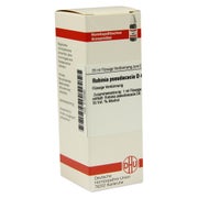 Robinia Pseudacacia D 4 Dilution 20 ml
