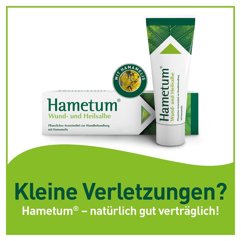 Unterschied Hametum Hämorrhoiden Salbe Wund Und Heilsalbe Hametum Wund- und Heilsalbe 100 g online kaufen | DocMorris