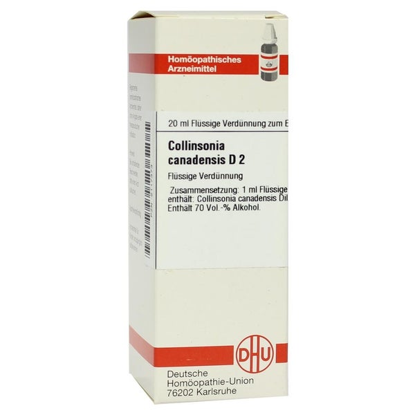Collinsonia Canadensis D 2 Dilution 20 ml